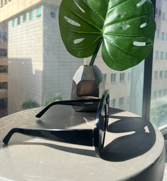 Miami fashion black sunnies