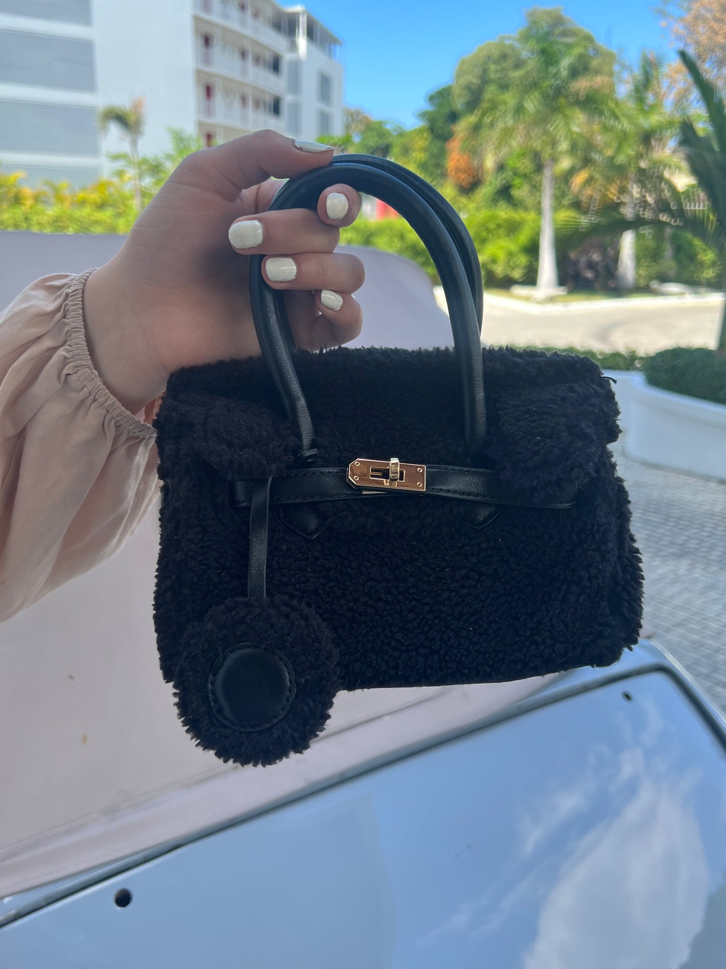 Aaliyah mini black bag