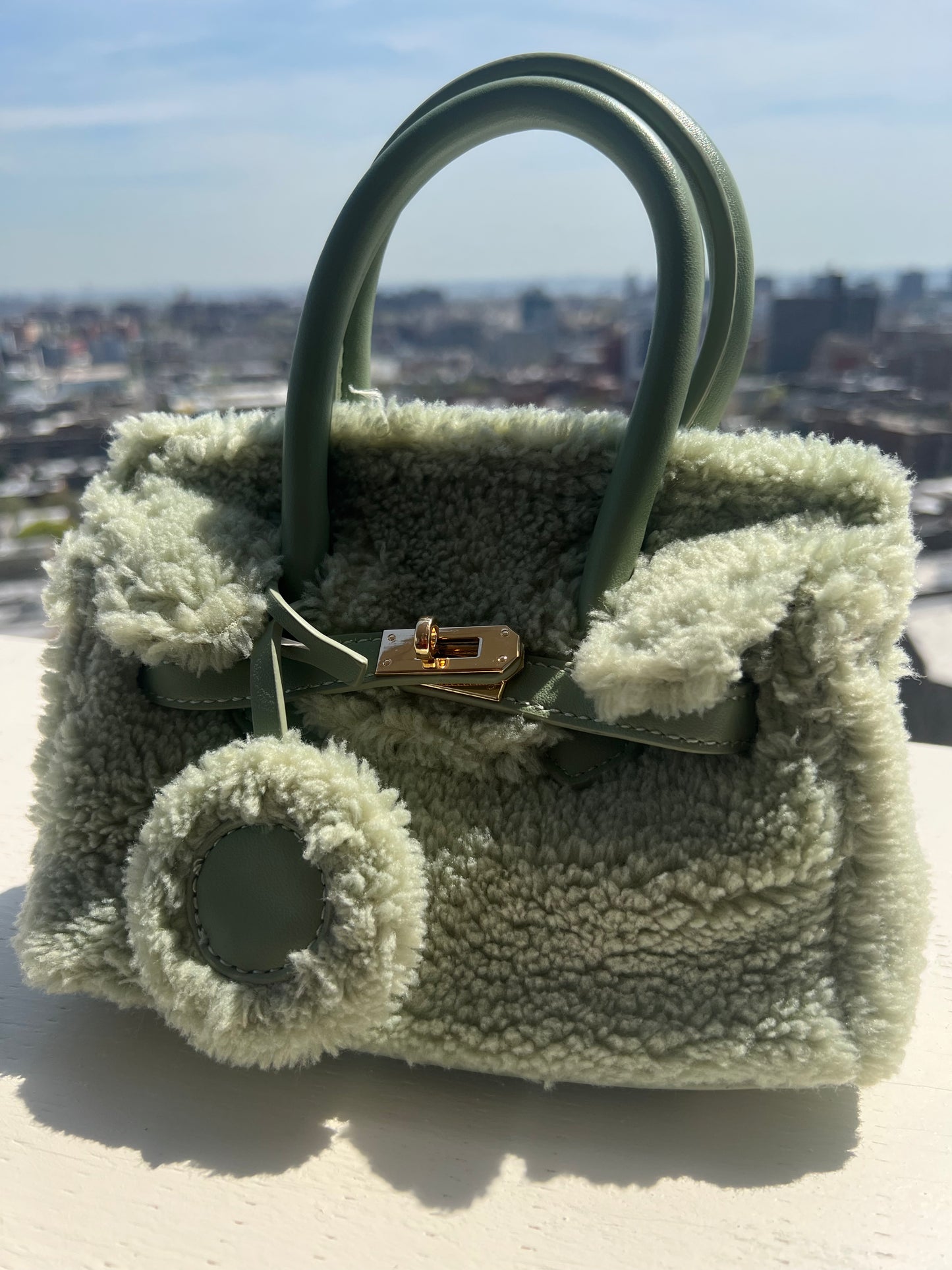 Aaliyah mini green bag