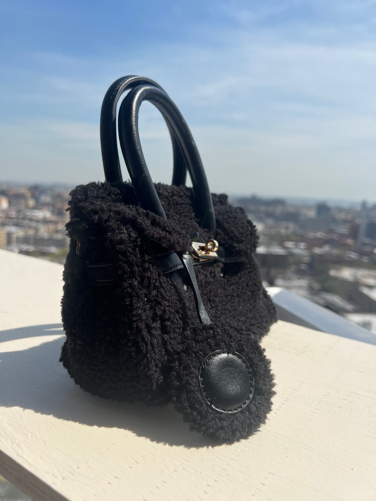 Aaliyah mini black bag