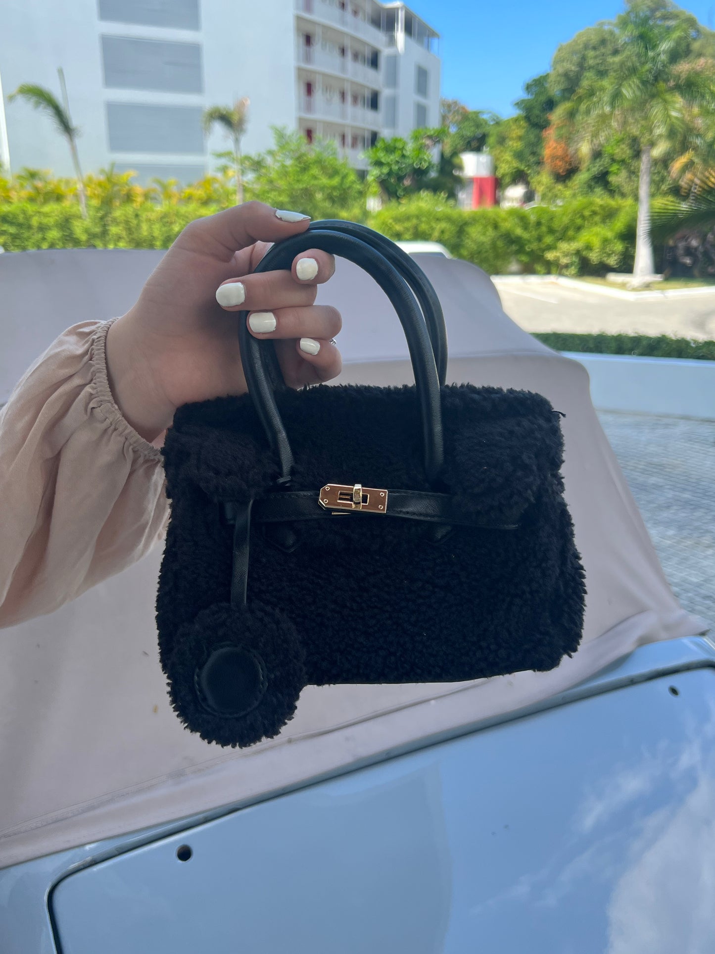 Aaliyah mini black bag