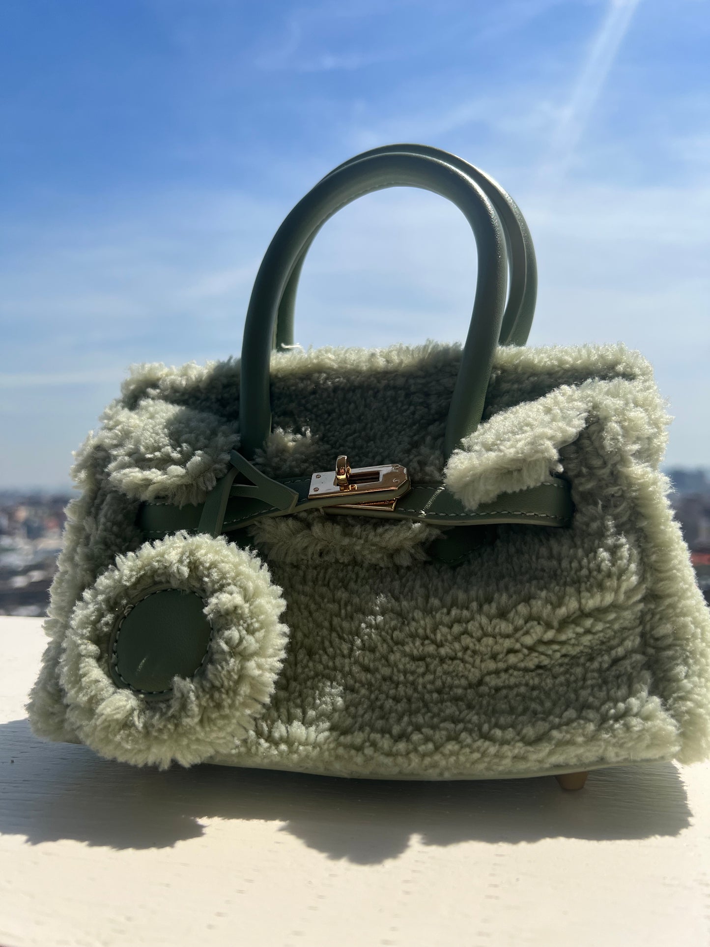 Aaliyah mini green bag